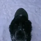 Business 1 image SPRING SHADES LTD Textile Services & Supplies in Leicester Le