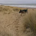 Business 12 image SPRING SHADES LTD Textile Services & Supplies in Leicester Le