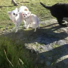 Business 14 image SPRING SHADES LTD Textile Services & Supplies in Leicester Le