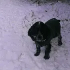 Business 4 image SPRING SHADES LTD Textile Services & Supplies in Leicester Le