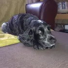 Business 5 image SPRING SHADES LTD Textile Services & Supplies in Leicester Le