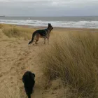 Business 8 image SPRING SHADES LTD Textile Services & Supplies in Leicester Le