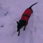 Business 2 image SPRING SHADES LTD Textile Services & Supplies in Leicester Le