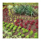 Business 4 image ST. GEORGE DAY SERVICE Social Service & Welfare Organisations in Bristol Av