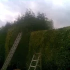 Business 13 image ST. GEORGE'S VETERINARY GROUP Vets in Wolverhampton We