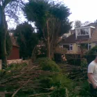 Business 15 image ST. GEORGE'S VETERINARY GROUP Vets in Wolverhampton We