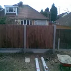 Business 21 image ST. GEORGE'S VETERINARY GROUP Vets in Wolverhampton We