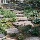 Business 23 image ST. GEORGE'S VETERINARY GROUP Vets in Wolverhampton We