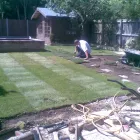 Business 10 image ST. GEORGE'S VETERINARY GROUP Vets in Wolverhampton We