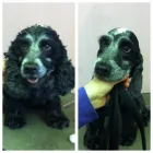 Business 1 image ST. JOHN AMBULANCE Charitable & Voluntary Organisations in Manchester La