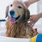 Business 2 image ST. JOHN AMBULANCE Charitable & Voluntary Organisations in Manchester La