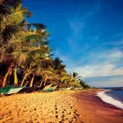 Business 2 image STA TRAVEL Travel Agents in Clifton Av