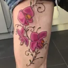 Business 5 image STAMPED TATTOO STUDIOS LTD Tattoo Artists in Wolverhampton We