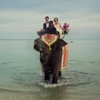 Business 3 image STEVE LEE PHOTOWORKS Wedding Services in Bath Av