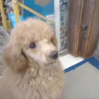 Business 5 image SUAVE LIVINGROOM Hairdressers in Croydon Su