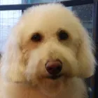 Business 6 image SUAVE LIVINGROOM Hairdressers in Croydon Su