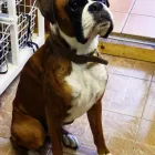 Business 7 image SUAVE LIVINGROOM Hairdressers in Croydon Su