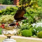 Business 1 image SUMMER LODGE COUNTRY HOUSE HOTEL & RESTAURANT Travel & Tourism in Dorset Do