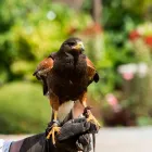 Business 24 image SUMMER LODGE COUNTRY HOUSE HOTEL & RESTAURANT Travel & Tourism in Dorset Do