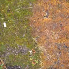 Business 5 image SUNNY FRUIT FRIENDS Shipping & Forwarding Agents in Manchester La