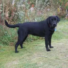 Business 3 image SUNNYSIDE STORES Grocers & Convenience Stores in WISHAW La