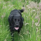 Business 4 image SUNNYSIDE STORES Grocers & Convenience Stores in WISHAW La