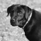 Business 2 image SUNNYSIDE STORES Grocers & Convenience Stores in WISHAW La