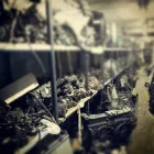 Business 6 image SWAN STREET AUTOS Garage Services in Wolverhampton We