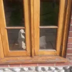 Business 16 image SWB DECORATING Wallpapers & Wallcoverings in Norwich No