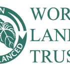 Business 2 image SWEET & FANCY Party Supplies in Walsall We