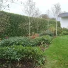 Business 1 image SWIFT OUTDOORS Tree Services in Bristol Br