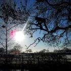 Business 2 image T AUTOS Mechanics in Glasgow La