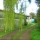 Business 1 image T.V & VIDEO REPAIR CENTRE Tvs in Haddington Ea