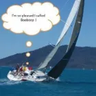 Business 1 image T & W TOOL HIRE LTD Floor Sanding & Polishing in Bristol Av