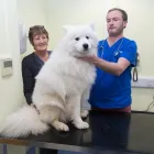 Business 13 image TAMESIDE VETERINARY CLINIC, DROYLSDEN Veterinary Services in Manchester Gr