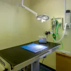 Business 16 image TAMESIDE VETERINARY CLINIC, DROYLSDEN Veterinary Services in Manchester Gr