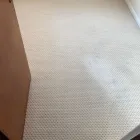 Business 19 image TECHNICLEEN LTD Upholstery Cleaners in Glasgow Glg