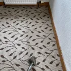 Business 27 image TECHNICLEEN LTD Upholstery Cleaners in Glasgow Glg