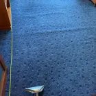 Business 39 image TECHNICLEEN LTD Upholstery Cleaners in Glasgow Glg