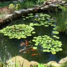 Business 2 image TESCO EXPRESS Grocers & Convenience Stores in Farnham Su