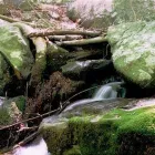 Business 1 image TESCO EXPRESS Grocers & Convenience Stores in Manchester La