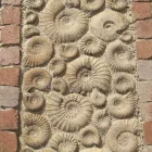 Business 5 image THE ABBEY SWIM SCHOOL Swimming Lessons in Reading Be