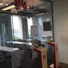 Business 3 image THE BIG APE LTD Shopping & Retail in Farnborough Ha