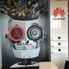 Business 5 image THE BIG APE LTD Shopping & Retail in Farnborough Ha