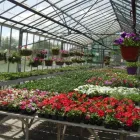 Business 8 image THE BRAEMAR GROUP LTD, Property Management in Altrincham Ch