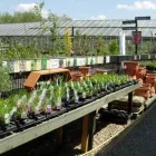 Business 2 image THE BRAEMAR GROUP LTD, Property Management in Altrincham Ch