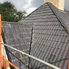 Business 13 image THE BUILDING GROUP LTD Roofing Materials in Glasgow Glg