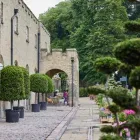 Business 7 image THE CLOCKTOWER CAFÉ SYON PARK Food & Beverages in Brentford Mi