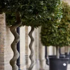 Business 32 image THE COURTYARD RESTAURANT SYON PARK Restaurants in Brentford Mi
