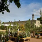 Business 36 image THE COURTYARD RESTAURANT SYON PARK Restaurants in Brentford Mi